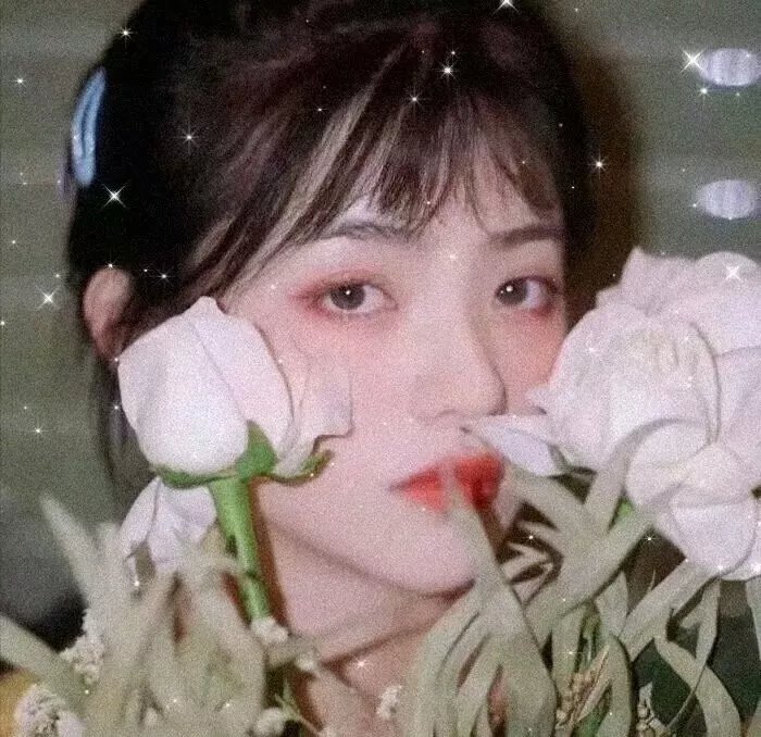 随心所欲